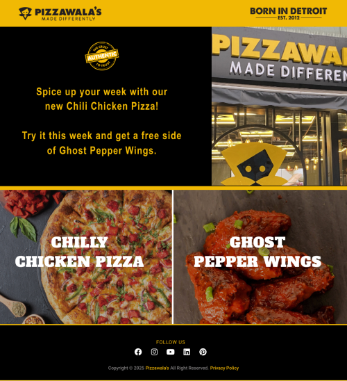 Promotional Email Pizzawala